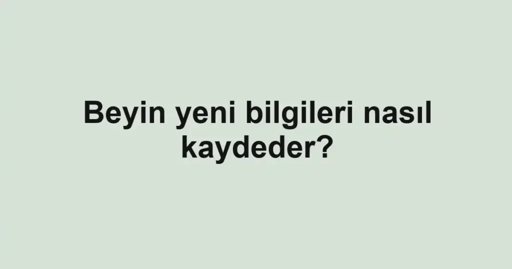 Beyin yeni bilgileri nasıl kaydeder?